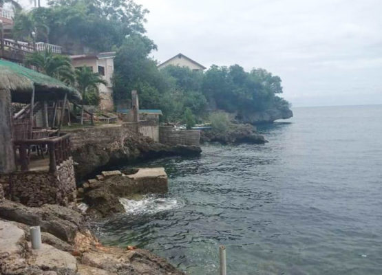 globalonerealty-muabogbeachlot-lotforsale-tabogoncebu-beachviews