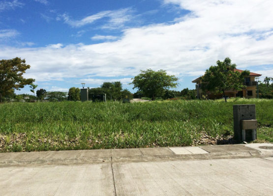 globalonerealty-amaralotforsale-catarmanliloan-block1lot8