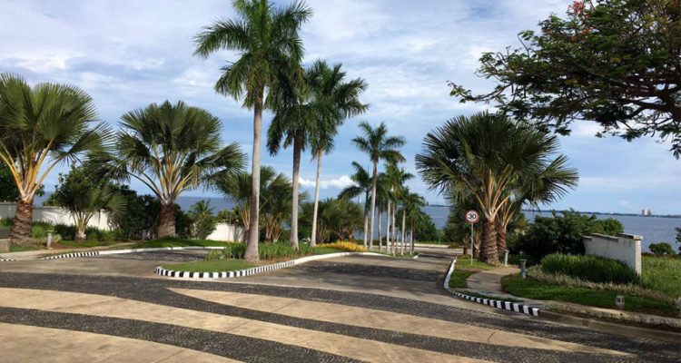 globalonerealty-amarapropertylot-residentiallotforsale-catarmanliloan-cebu