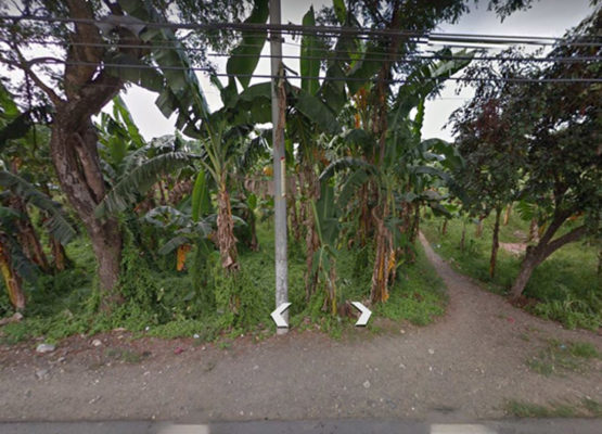 globalonerealty-primelotabucayanbalamban-lotforsalecebu-streetview