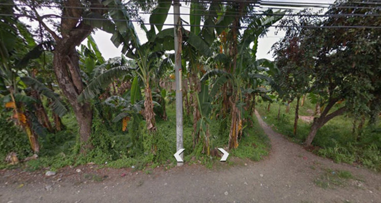 globalonerealty-primelotabucayanbalamban-lotforsalecebu-streetview