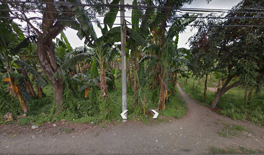 globalonerealty-primelotabucayanbalamban-lotforsalecebu-streetview