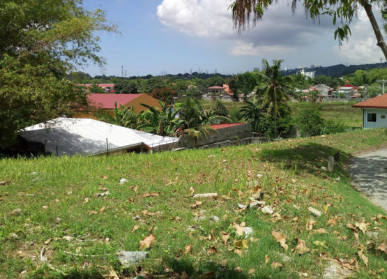 globalonerealty-pristinanorthprimelot-forsale-talambancebu