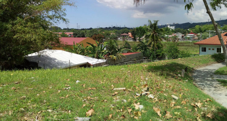 globalonerealty-pristinanorthprimelot-forsale-talambancebu