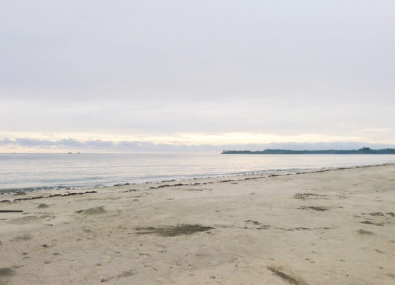 globalonerealty-beachlot-jawili-aklan-forsale-beach-resort-business-island-view