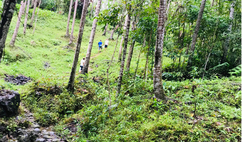 globalonerealty-agricultural-lot-forsale-maasin-leyte-multicrop-farming-nature