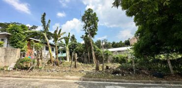 For Sale: 500sqm lot in Doña Rita Village, Banilad