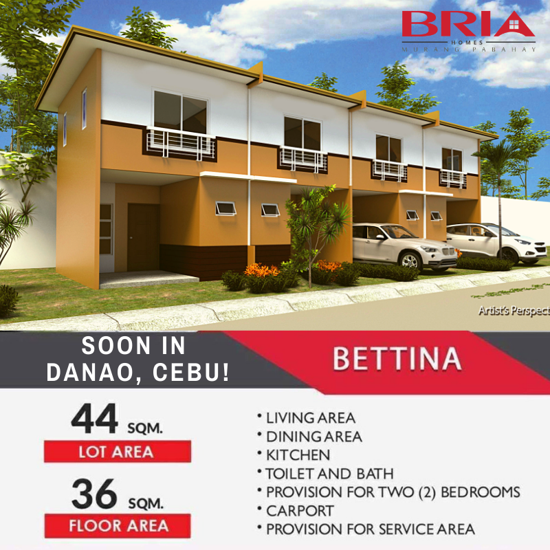 BRIA HOMES DANAO | Global One Realty